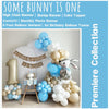 Some Bunny Is One First Birthday Bundle | Easter 1st Birthday Party Decorations | Boys Cake Smash Decor