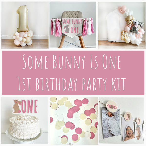 Some Bunny Is One First Birthday | Easter 1st Birthday Party Decorations | Spring First Birthday Tassel Sign