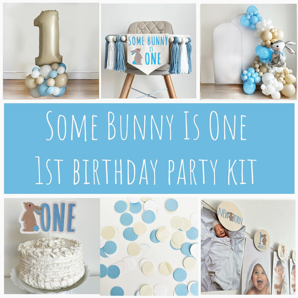 Some Bunny Is One First Birthday Bundle | Easter 1st Birthday Party Decorations | Boys Cake Smash Decor