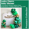 St Patrick's Day Baby Shower | Our Lucky Charm | | Baby Shower Decorations | Lucky One | Spring Baby Shower | It's A Boy