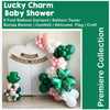 Lucky Charm Baby Shower Bundle | St Patricks Themed Baby Girl Shower Decorations | Pink & Green St. Paddy's Birth Announcement