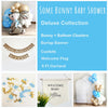 Bunny Baby Shower | Some Bunny Is On The Way Bundle | Easter Baby Announcement | Little Boy Baby Shower