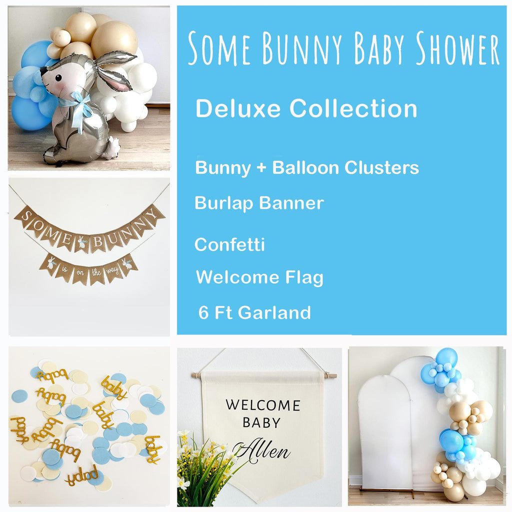 Bunny Baby Shower | Some Bunny Is On The Way Bundle | Easter Baby Announcement | Little Boy Baby Shower