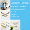 Bunny Baby Shower | Some Bunny Is On The Way Bundle | Easter Baby Announcement | Little Boy Baby Shower