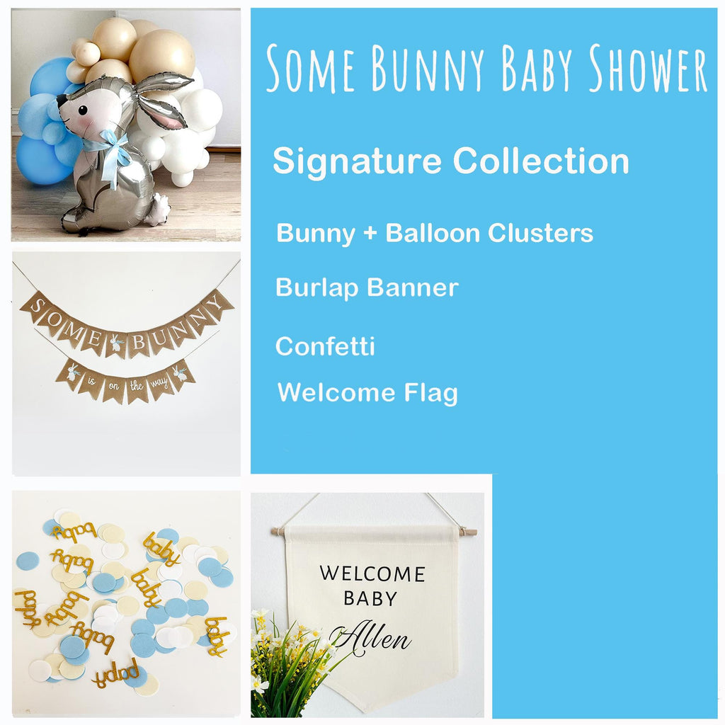 Bunny Baby Shower | Some Bunny Is On The Way Bundle | Easter Baby Announcement | Little Boy Baby Shower