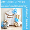 Bunny Baby Shower | Some Bunny Is On The Way Bundle | Easter Baby Announcement | Little Boy Baby Shower