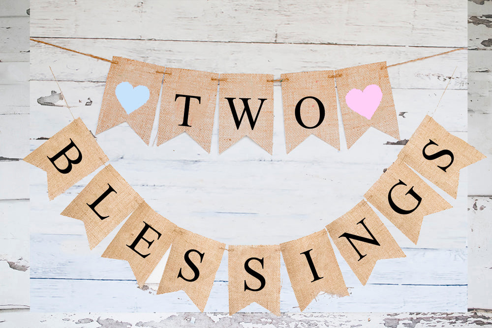 Pink & Blue Two Blessings Banner  Twin Baby Shower or Gender Reveal P –  Swanky Party Box