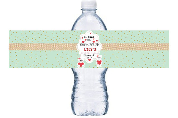 Girl, Waterproof Birthday Bottle Labels, Teal-Colored, Valentine's First Birthday Bottle Wraps, Girl 1st Birthday Bottle Labels, BL027
