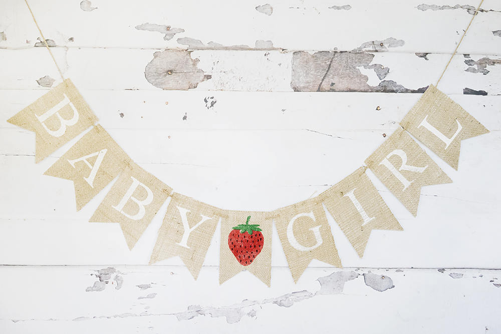 Baby Shower Decor, Strawberry Baby Girl Banner – Swanky Party Box