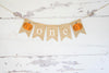 Fall 1st Birthday Party Decor, Pumpkin 1st Birthday, One Banner, Fall Highchair Party Prop, Little Pumpkin Sign, B896