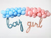 Gender Reveal Party | Gender Reveal Decor | Boy Girl Party | Baby Shower Decor | Pink Baby Shower | Blue Baby Shower | Gender Balloons
