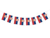 Serbia Flag Banner, Serbian Flag Banner, Team Serbia Garland, World Flags, Serbia World Cup Decorations, P251