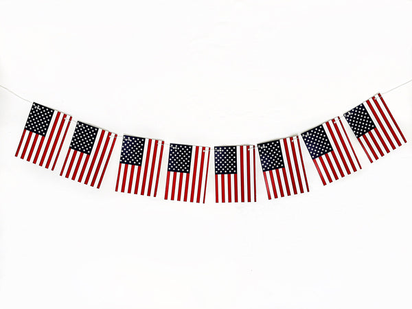 USA Banner, American Flag Banner, Team USA Garland, American Patriotic Flag, USA World Cup Decorations, P249