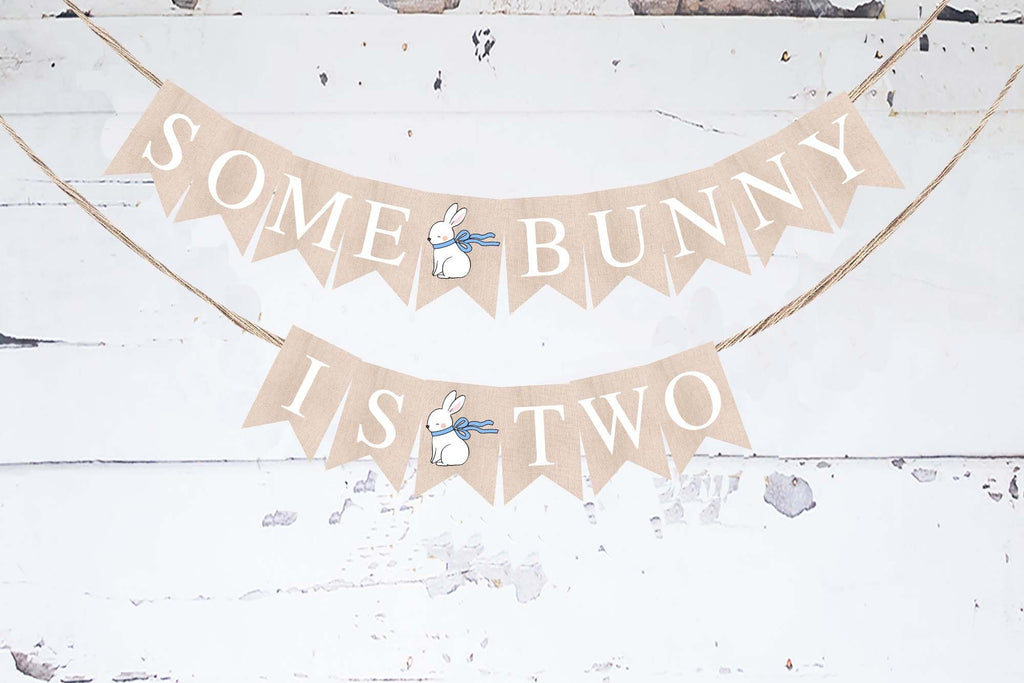 Blue Some Bunny Is Two Banner | Easter Second Birthday Party Decor
