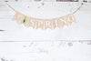 Hello Spring Banner, Spring Decorations, Easter Decorations, Spring Party Decor, Card Stock Banner PB126