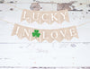 St Patrick's Day Wedding or Engagement Party Decorations, Lucky in Love Banner, Luck of the Irish, Bachelorette Party Banner PB061