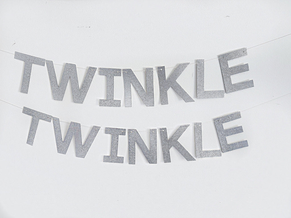 Twinkle Twinkle Silver Glitter Banner, Baby Shower Theme, Twinkle Twinkle Birthday Party, LB042